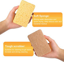 Biodegradable and Compostable Kitchen Sponges – Epically-Eco