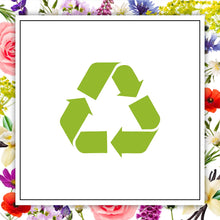 Botanica by Air Wick Room Spray Caribbean Vetiver and Sandalwood, 236 ml (Pack of 4)