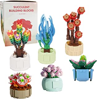 Succulents Mystery Bag Building Kit, Creative DIY Random Botanical Collection Building Toy, Set for Adults and Kids, Compatible with Lego (Build 1 Plant)