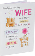 Cute Birthday Card Wife - 9 x 6 inches - Piccadilly Greetings