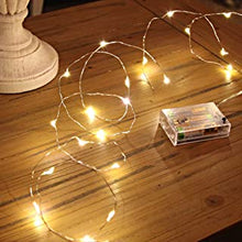 20 LED Battery Powered Decorative Micro Fairy Lights with Silver Wire by Festive Lights (Warm White)