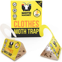 MOTH TRAP- Pheromones moth traps attract male moths to our sticky moth traps to stop the cycle. Carpet and Clothes Moth traps are non toxic. Carpet moth killer providing carpet moth treatment