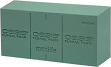 3 Ideal Bricks Oasis Floral Foam for Fresh Flower Displays and Arrangements