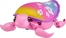 Little Live Pets 26423 Lil Beach Bloom | Interactive Toy Swims in Water and Moves On Land Like A Real Turtle, Purple