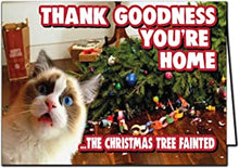 Christmas Cards Funny Animals (Cat Christmas XM362)