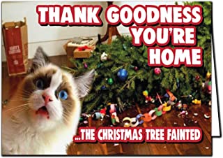 Christmas Cards Funny Animals (Cat Christmas XM362)