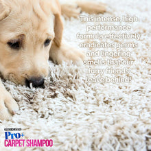 Pro-Kleen Pro+ Carpet Shampoo and Upholstery Cleaning Solution  4 in 1 Concentrate  Pet Carpet Cleaner with Odour Removal Suitable for All Machines 5L (Spring Bloom)