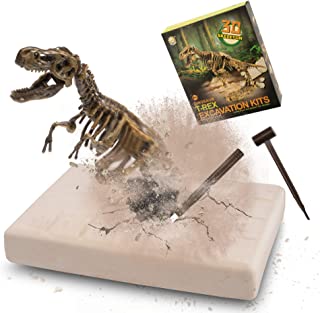 MUSCCCM Dinosaur Dig Kit Brachiosaurus, Dino Skeleton Fossil Excavation Kit Realistic Dinosaur Model Educational Toys Gift for Children Boys Girls Christmas/New Year's Gift