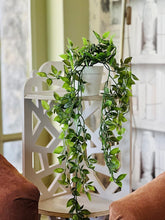 "N/A" Hanging Artificial Plants Set of 2 Trailing Fake White Potted for Room Decor Home Kitchen Garden Office Shelf Wall Dcor Pot Decoration Indoor and Outdoor, 22.3  11  18cm, (ADC449)