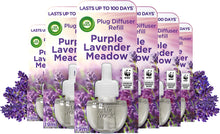 Air Wick Electrical Plug In Air Freshener Refill Lavender 17ml, Pack of 6 (Total 6 Refills)