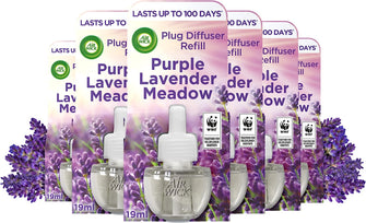 Air Wick Electrical Plug In Air Freshener Refill Lavender 17ml, Pack of 6 (Total 6 Refills)