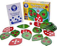 Orchard Toys The Game of Ladybirds, Counting & Memory Educational Toys and Games, Perfect for Children Aged 3-7, Perfect for Preschoolers