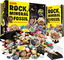 Dr. Daz Rock Fossil Mineral Collection Activity Kit Includes 250+ Real Specimens Ultimate Display Case Fossils Gems Rocks Genuine Minerals for Kids Great Science Gift for Boys Girls