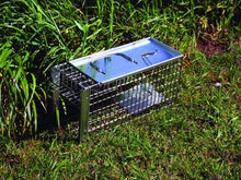 Defenders Rat and Squirrel Cage Trap (Humane, Easy to Bait and Set, Long-Lasting Galvanised Mesh), Silver, STV088, One Size