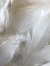 Zebra Balloons White Feathers, 100 Pack