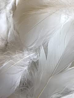 Zebra Balloons White Feathers, 100 Pack