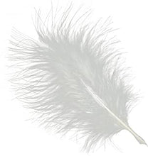 Diamante Crafts Marabou Feathers 20 Per Pack - 12-17 cm - Fluffy & Soft - 26 Colours (White - 20 pack)