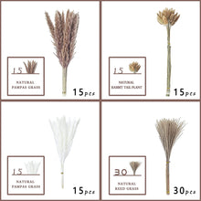 75Pcs Pampas Grass Boho Home Decor, Natural Dried Carefully Hand-Picked Fluffy Pompas Grass 17", White & Brown Pampas Grass, Reed, Bunny Tails for Flower Arrangements Boho Wedding Home Dcor