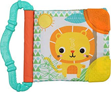 Bright Starts Teethe & Read Soft Book Toy, Ages 3 months +, Style May Vary