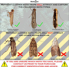MothOut 10 Pheromone Clothes Moth Traps, Carpet Moth Killer + Lavender–  buyinstor