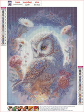 cdsnxore DIY Diamond Painting, Diamond Art Painting Owl Kits for Adults, Embroidery Pictures Arts Crafts for Beginner Home Wall Decor 30  40cm (White)