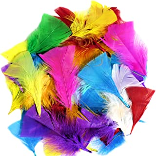 Kids B Crafty 250 Coloured Feathers, Feathers For Crafts, Craft Feathers, Arts And Crafts, Feathers For Crafting, Hats, Easter, Bonnet, Small, Large, Plumage, Feather, Fishing