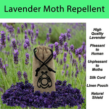MothOut 10 Pheromone Clothes Moth Traps, Carpet Moth Killer + Lavender Moth Repellent for Wardrobe Protection + 10 Lighting Plates, Odourless Sticky Cloth Moths Trap, Safe Home Anti Moth Treatment