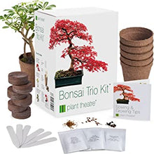 Plant Theatre Bonsai Tree Kit – 3 Tree Starter Set w/Bonsai Seeds, Peat Blocks, Pots and Markers – Gardening Gifts for Men and Women