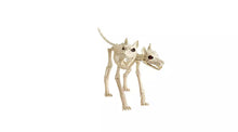 Home Animated Two Headed Dog Skeleton
