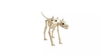 Home Animated Two Headed Dog Skeleton