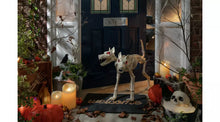 Home Animated Two Headed Dog Skeleton
