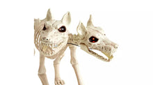 Home Animated Two Headed Dog Skeleton