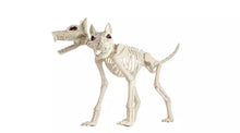 Home Animated Two Headed Dog Skeleton