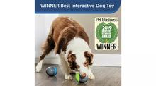 Ricochet Electronic Dog Toys