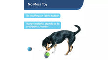 Ricochet Electronic Dog Toys