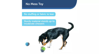 Ricochet Electronic Dog Toys