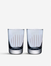 Parrot crystal tumbler set of two