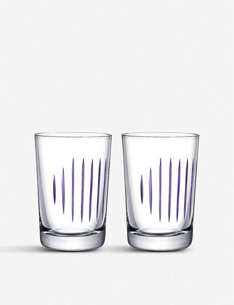 Parrot glass tumblers set of two