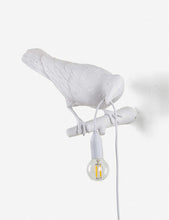 LED bulb for indoor bird lamp