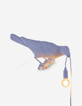 LED bulb for indoor bird lamp