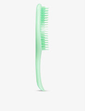 The Wet Detangler brush