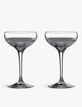 Mixology Circon cocktail coupes set of two