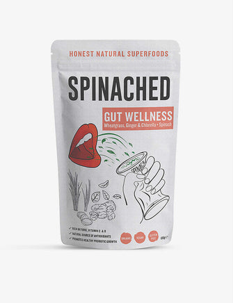 Gut Wellness 100g