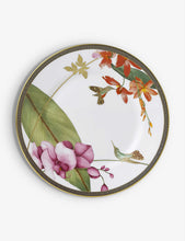 Hummingbird fine bone china plate 20cm