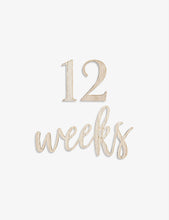 Pregnancy and Baby Milestone wood signs