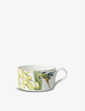 Amazonia amnut teacup 230ml