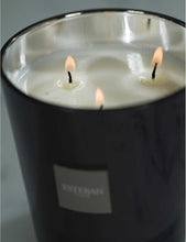 Cèdre three-wick scented candle 450g