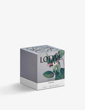 Honeysuckle scented candle 170g