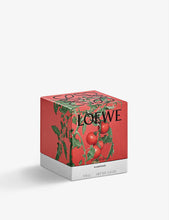 Tomato Leaves scented candle 170g