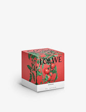 Tomato Leaves scented candle 610g